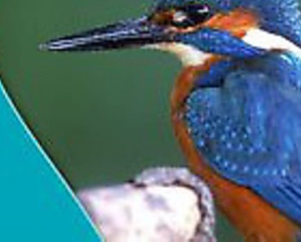 Canal & River Trust realease Nature Watch app