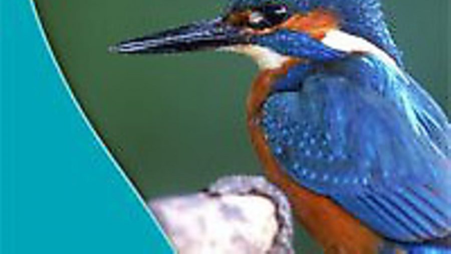 Canal & River Trust realease Nature Watch app