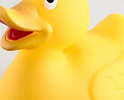 Sponsor a Duck to support Mon & Brec restoration
