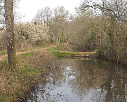 New section of canal acquired by the Wey & Arun Canal Trust