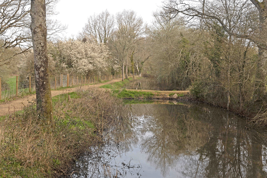 New section of canal acquired by the Wey & Arun Canal Trust