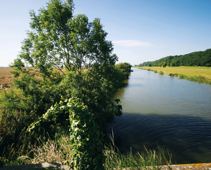 The River Rother