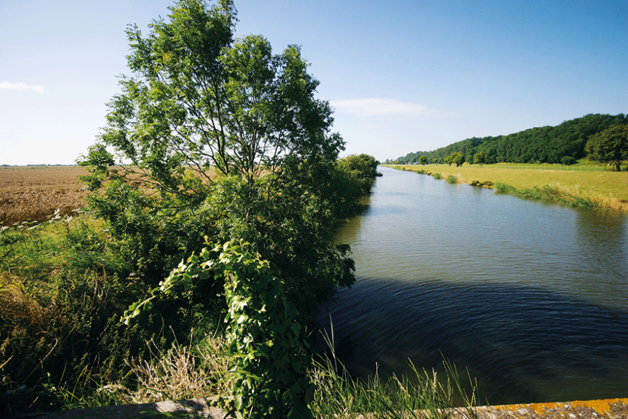 The River Rother