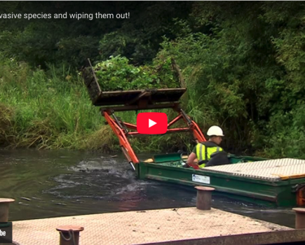 Weed Problems in our Canals