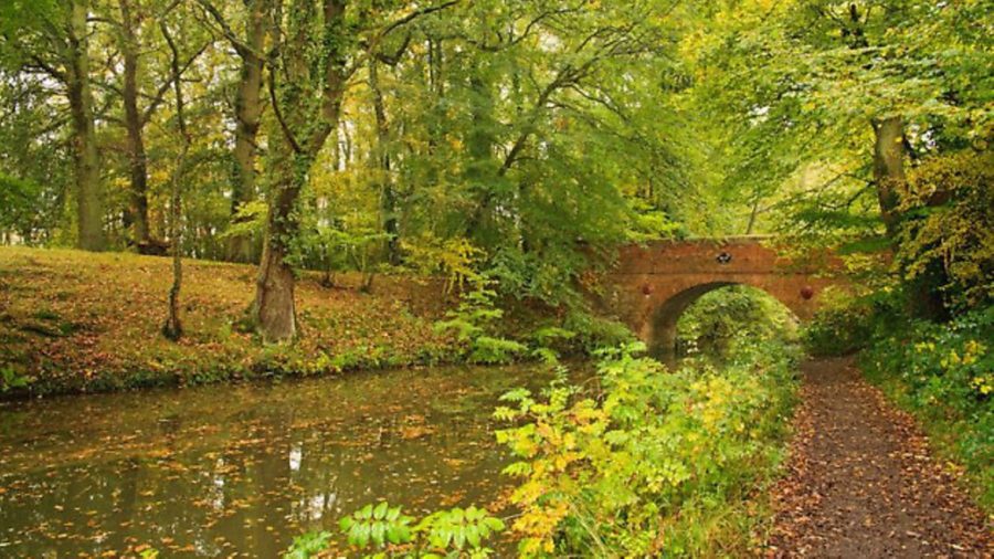 Basingstoke Canal ‘too costly’ to be transferred to CRT