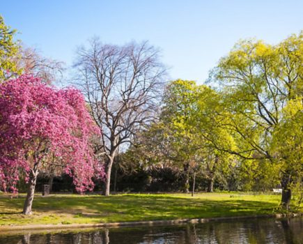 Here are all the canal-side walks you need to make the most of this summer