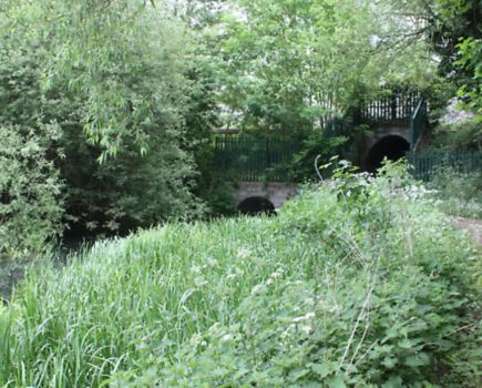 Cotswold Canals restoration goes on despite funding disappointment