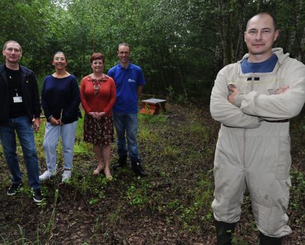 Community buzzing over bee project in Rotherham