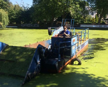 ‘Explosion’ of duck weed turns Regent’s green