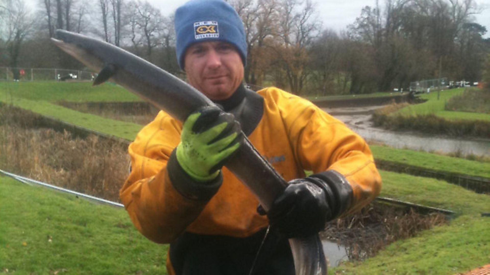 Mem Fish Rescue A slippery character! - Canal Boat