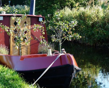 Canal Boat’s guide to buying a boat