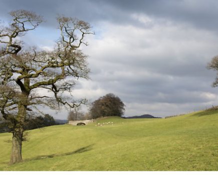 Canals’ lost wonders recognised